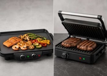 Offene Grillplatte oder Kontaktgrill: Unterschiede bei Aufbau und Hitzeverteilung