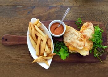 Feste oder wechselbare Platten beim Sandwichmaker: Aufbau und Unterschiede