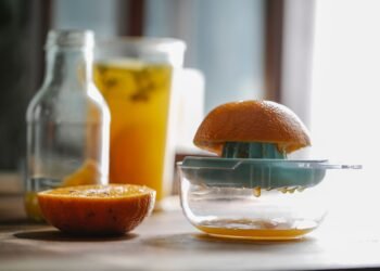 Horizontaler und vertikaler Slow Juicer: Aufbau und Unterschiede im Überblick