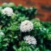 Küchenmaschinen erklärt: Alle Bauarten im Überblick