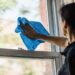 Fenstersauger: So putzen Sie Fenster streifenfrei