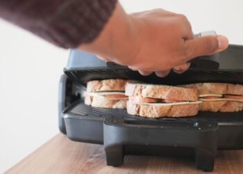 Feste oder wechselbare Platten beim Sandwichmaker: Aufbau und Unterschiede