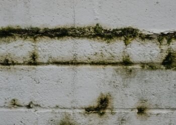 Kompressor und Trockenmittel: Zwei Verfahren zur Luftentfeuchtung erklärt