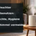 Luftbefeuchter im Wohnraum – Luftbefeuchter richtig benutzen: Luftfeuchte, Hygiene und Schimmel vermeiden