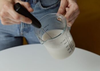 Milchaufschäumer