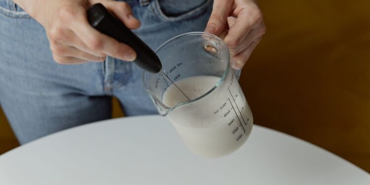 Milchaufschäumer