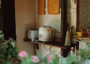 Reiskocher Thermostatsteuerung vs. Fuzzy Logic: Was unterscheidet die Technik?