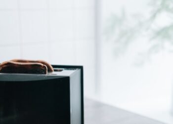 Toaster erklärt: Bauarten im Vergleich - Scheiben-, Langschlitz- und Toastöfen