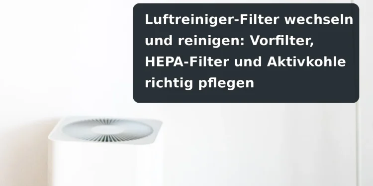 Luftreiniger im Wohnraum; Titel: Luftreiniger-Filter wechseln und reinigen: Vorfilter, HEPA-Filter und Aktivkohle richtig pflegen