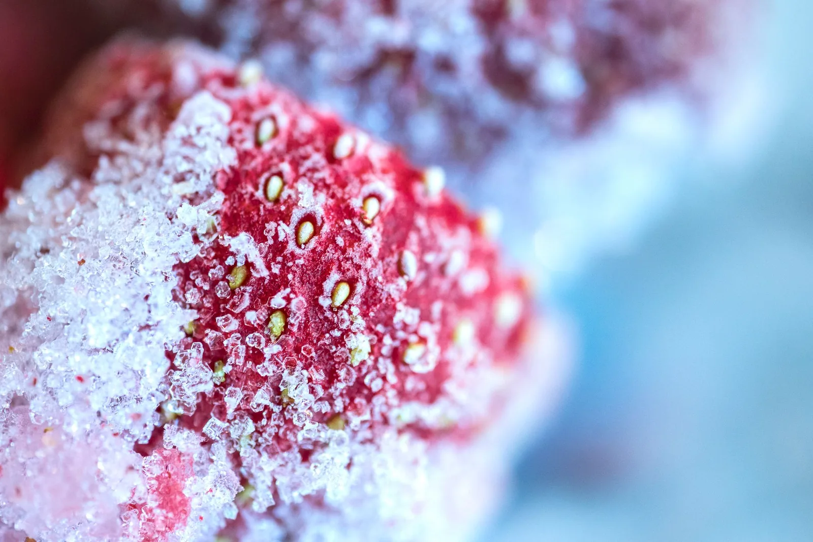 Nahaufnahme einer gefrorenen Erdbeere mit sichtbaren Eiskristallen